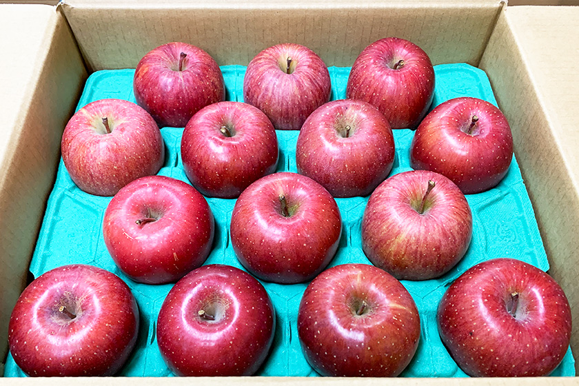 サンふじ Aランク LLサイズ14