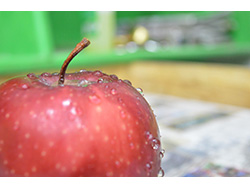 サンふじ 特選品 LLサイズ14