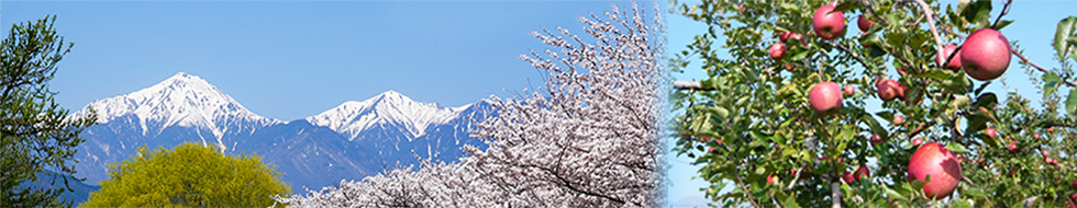 PC用メインイメージ