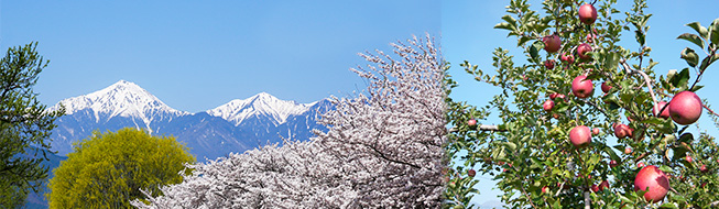 スマホ用メインイメージ